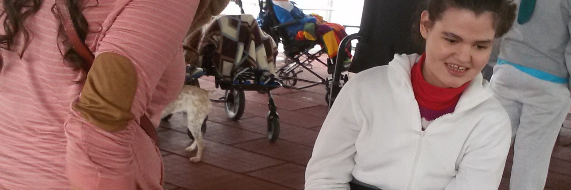 la-casita-carr-terapia-canina